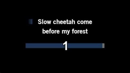 Karaoke Slow Cheetah - Red Hot Chili Peppers - CDG, MP4, KFN - Karaoke Version