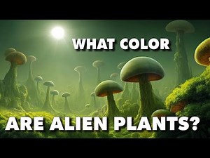 Alien Plants and Their Surprising Colors