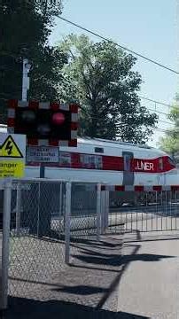 Train Passing Level Crossing