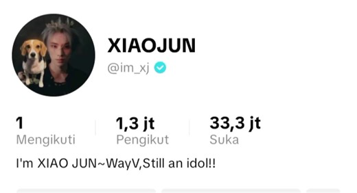 Merayakan Ulang Tahun Xiaojun WayV dengan Keceriaan