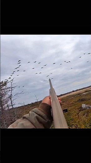 One shot… one duck! 💥🦆Can you handle this level of accuracy?#ViralShorts #HuntingVideo #DuckHunt