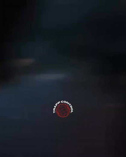 12 reactions | Deezy na música da Yola Araújo | Portal Nova Vibe - So 9dades | Facebook