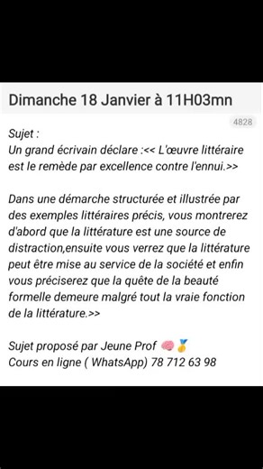 Réussir une dissertation complète et parfaite sur la littérature
