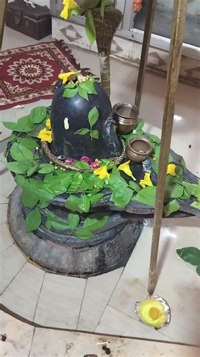 रोज पूजा करते हो तो इन बातों का विशेष ध्यान रखना चाहिए 🙏🏻🌹🙏🏻🌹🙏🏻🌹#mahadev #mahakal #bholenath