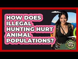 How Does Illegal Hunting Hurt Animal Populations?