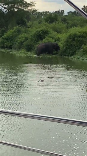 Kasese District Is Pure Magic 🌄🇺🇬 | Uganda’s Hidden Beauty