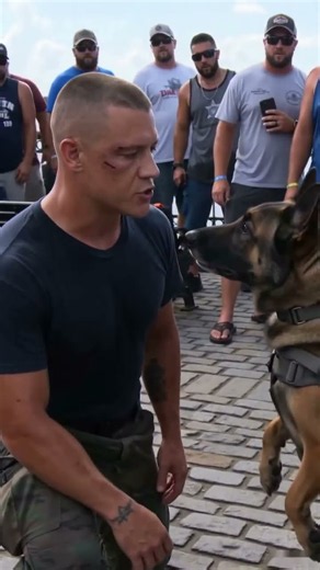 Trust in Every Step 🐕 | Working Dog & Handler Teamwork