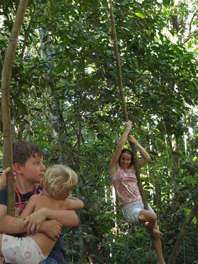 Jungle swing for the kids #junglelife #homesteading #offgridliving | jungle