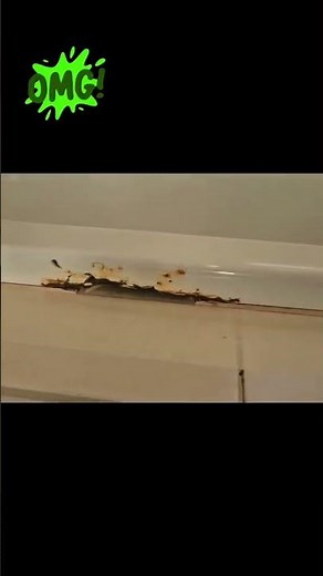 bañera con lateral dañado. reparación y esmaltado