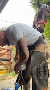 546K views · 10K reactions | Jack’s approval means everything 藍 #horse #asmr #equestrian | Swfarrier | Facebook