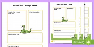 How To Take Care Of A Snake Fact File