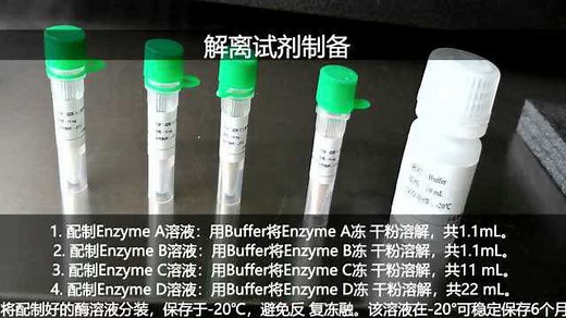 如何高效提取组织内原代细胞/单细胞？