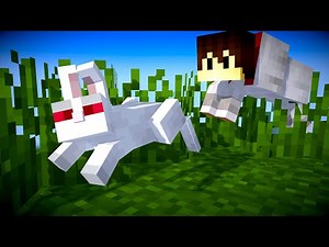 Minecraft ABER als Wolf | LarsLP