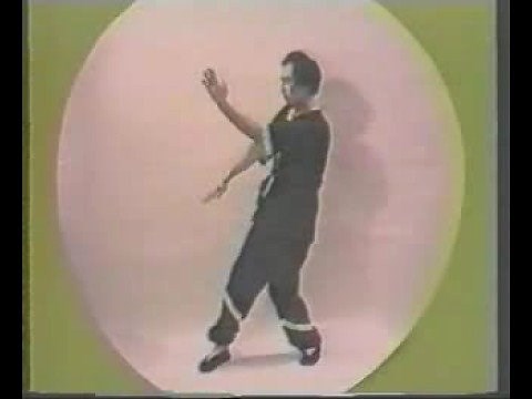 Wing Tsun Leung Ting Biu Tze