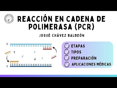 REACCIÓN EN CADENA DE POLIMERASA (PCR): Etapas, Tipos, Preparación y Aplicaciones | Bioquímica