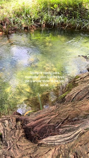 Planes al río y bosque: cómo estar siempre listo para salir