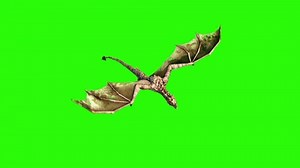 Angry Big Dragon Fly Top Green Stock Footage Video (100% Royalty-free) 24508211 | Shutterstock