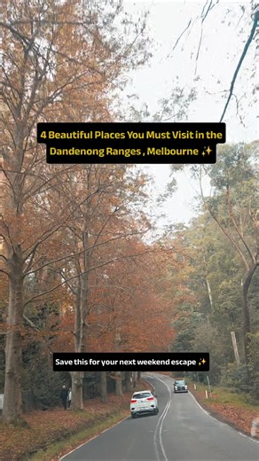 Must Visit Places in Mount Dandenongs,Melbourne, Australia 🇦🇺