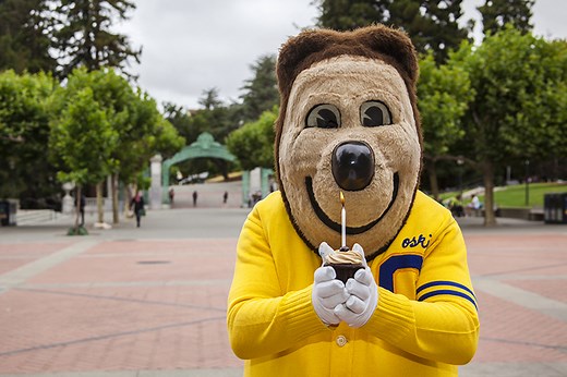 Birthday Bear: Iconic Oski turns 75 - Berkeley News