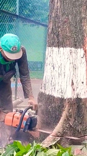 Woodworking project logging techniques #shortvideo #woodworking #diy