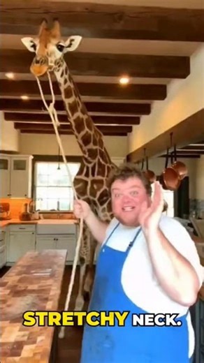 We Cooked a Giraffe… It Needed More Salt 🦒