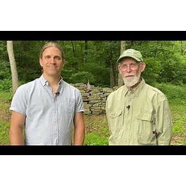 Do Insects Matter to People?