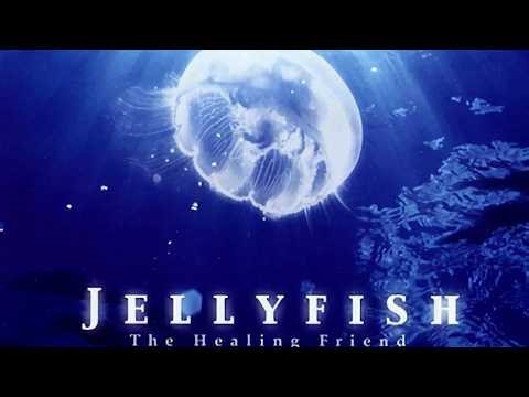[Gameplay] Jellyfish [PS1 | Hardware]