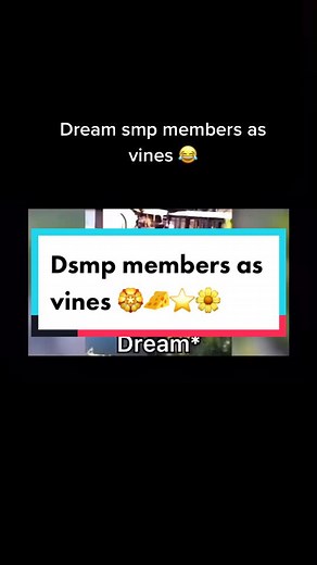 Dream smp members as vines 🤣 #funny #dsmp #foryoupage #tiktok #fyp #foryou #fy #viral #dreamsmp #💛⭐️🌟🌝🌻🐝🍌🌼🌙🍍🍋🌽🌕🧀🔆