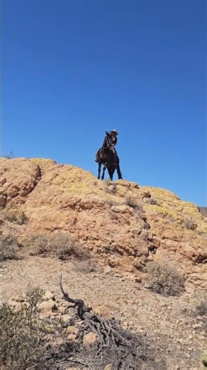 Max is King of the Rock!
