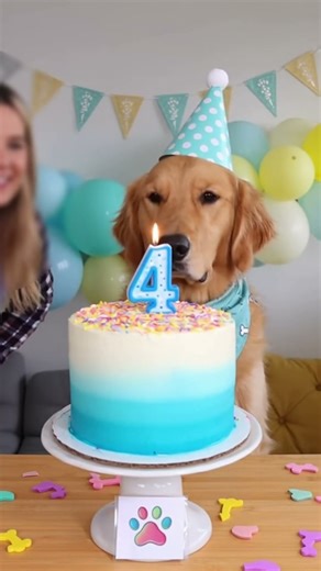 🐶 You Won’t Believe This Dog’s HUGE Birthday Cake! 🎂🎉