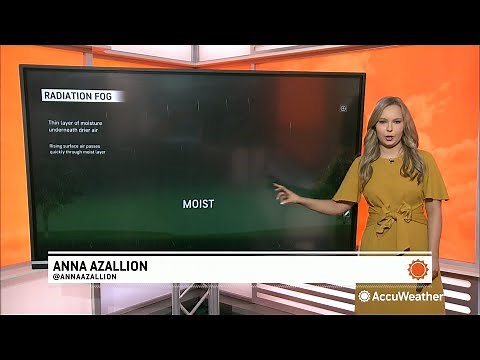 WeatherWhys®: What Causes Fog, Types of Fog