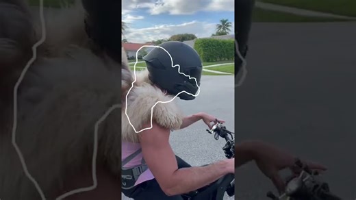 This outline trend is so satisfying #doodle #dog #outline