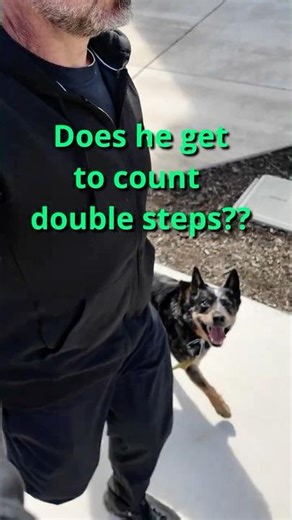 How many steps per day?