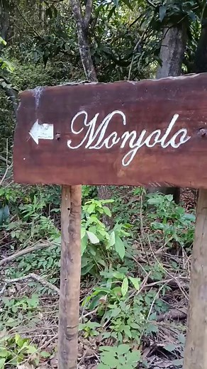 Monjolo: A Tradicional Máquina Hidráulica Brasileira