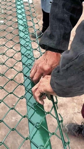 Step-by-Step Guide: Installing Wire Fencing on Steel Posts