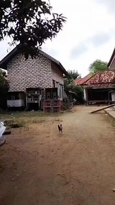 1.6K views | Cek sound bareng Miank audio masee #soundsystem #soundhoreg #soundbalap #soundmini #pecintahoreg #tukangsound | Zubed Pro | Facebook