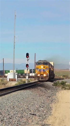 #knowladge #facts #information | facts you didn't know