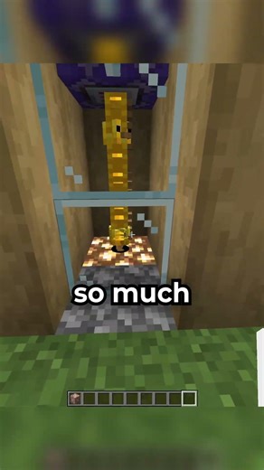 CHICKEN LOCK-IN in Minecraft Fake? 💀