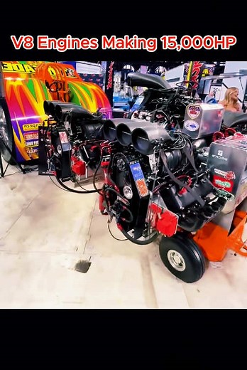 Awesome Documentary on TikTok