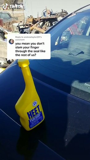 Alex Sanders (@alexraysanders)’s videos with original sound - Alex Sanders