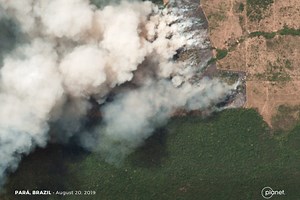Brazilian Amazon fires scientifically linked to 2019 deforestation: report