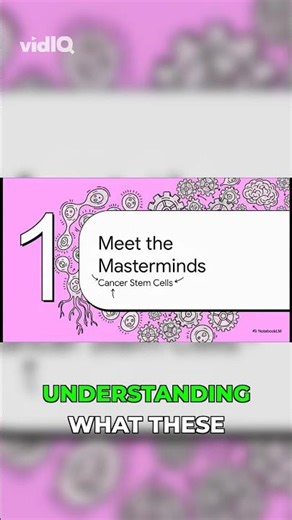 Cancer Stem Cells: The Game Changer in Cancer Fight