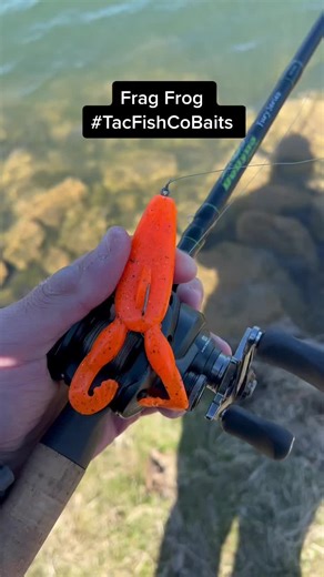 Demonstrating the Frag Frog Soft Plastic Bait Action