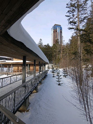 Impilo yase 🇯🇵