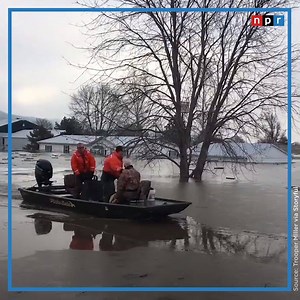 69K views · 550 reactions | As floods are getting worse, some say Americans need to rethink everything — the terms we use to describe floods, how flood insurance is offered, and what and where we should be building. | NPR | Facebook