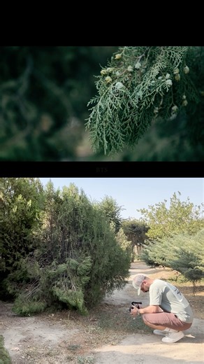 Normal Shot vs Cinematic Shot, Sony ZV-E10