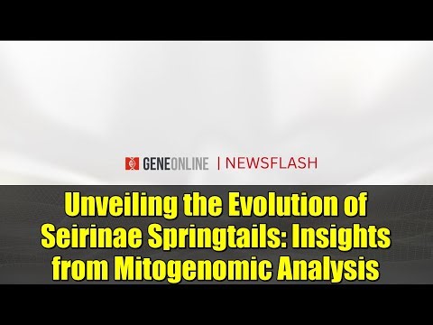 Unveiling the Evolution of Seirinae Springtails: Insights from Mitogenomic Analysis