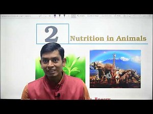 nutrition in animals class 7 science chapter 2
