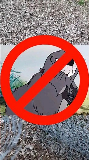 Gopher-Proof Your Garden: DIY Chicken Wire Cage Solution! 🌱🚫🐾