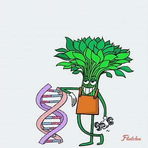 252K views · 1.5K reactions | What would you say if I told you...